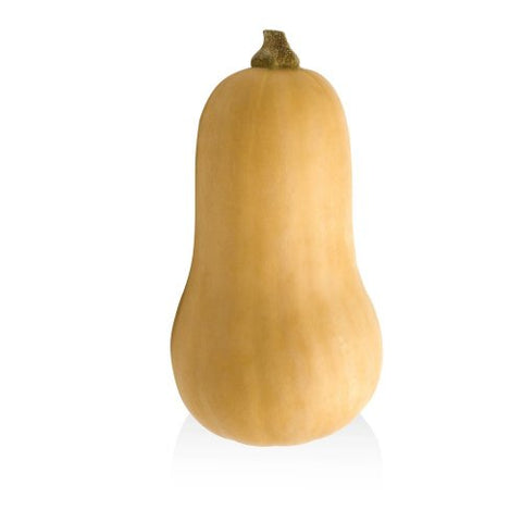 Zucca Butternut