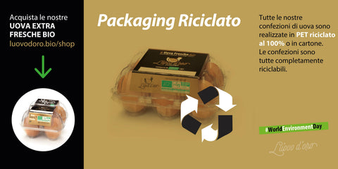 uova bio-extrafresche categoria A