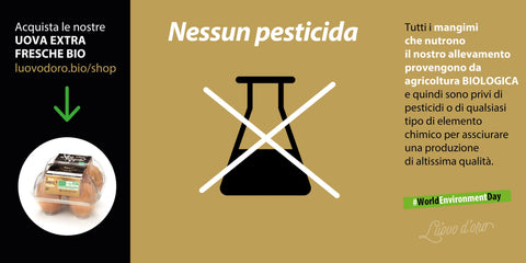 uova bio-extrafresche categoria A