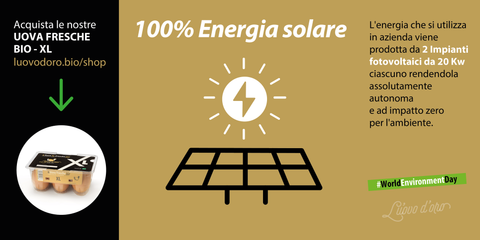 uova bio-extrafresche categoria A