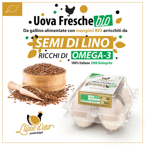 uova bio-extrafresche categoria A