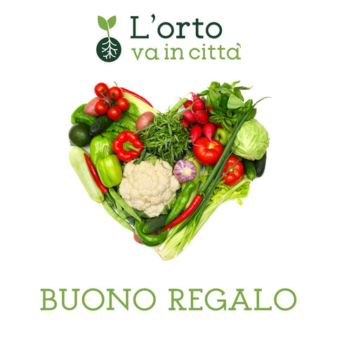 Buono Regalo