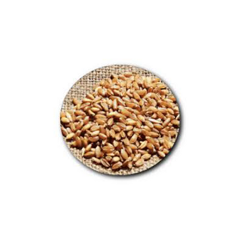 Farro
