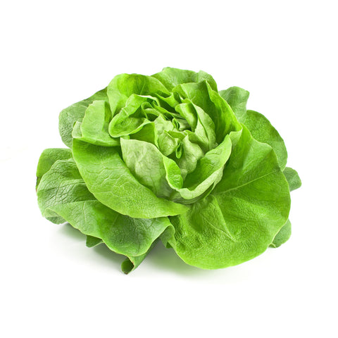 insalate