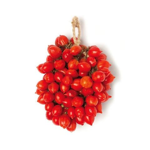 Pomodori piennolo appesi con grappolo